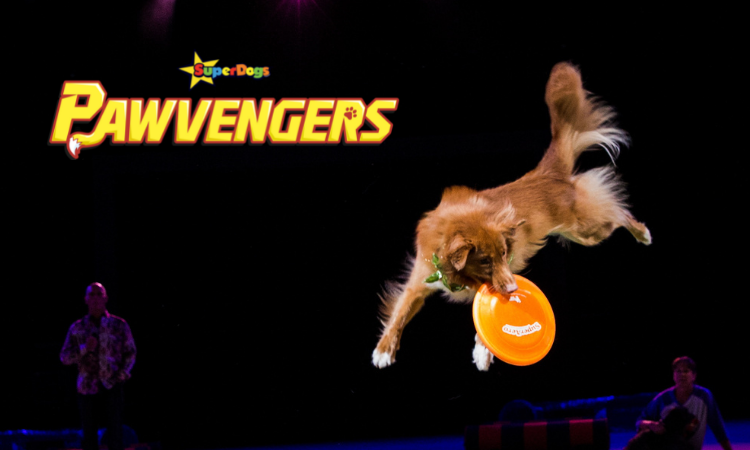 SuperDogs Pawvengers