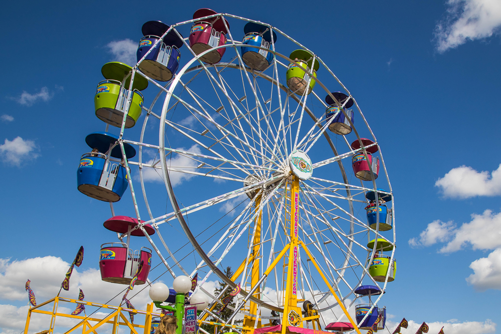 Expo Ferris Wheel - 6 Ride Coupons