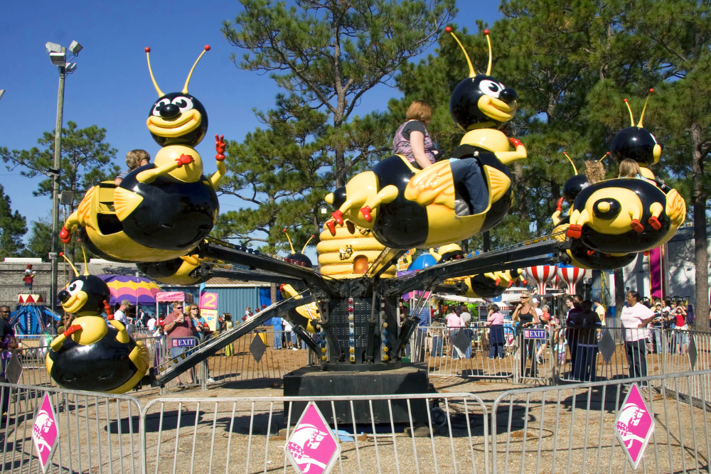 Bumble Bees - 4 Ride Coupons
