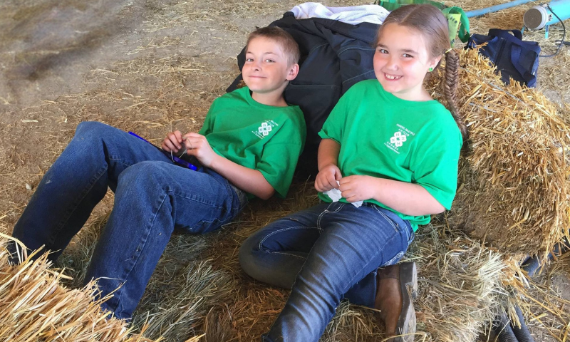 Kids at the Barn