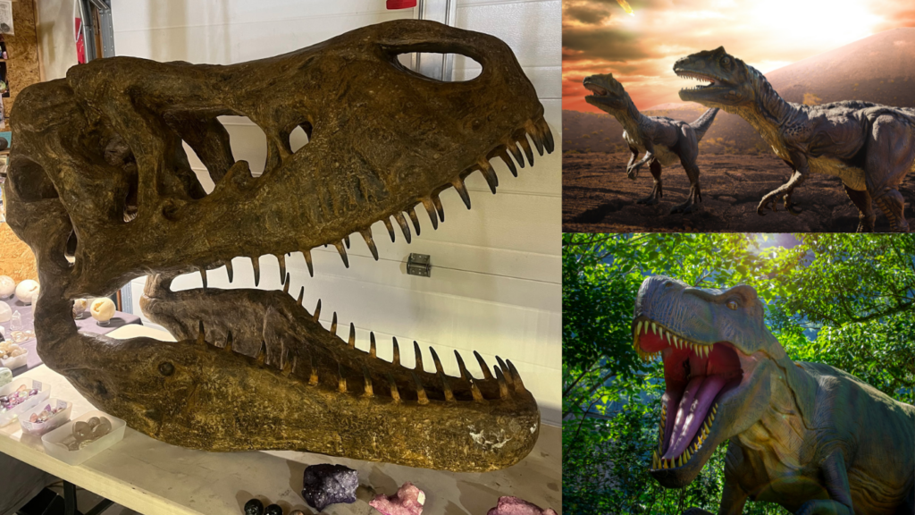 Dino hunting!